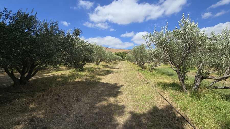 Commercial Property for Sale in Wellington Rural Western Cape